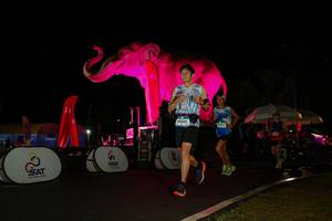 BIB: 
                            <button type="button" onclick="openModal(26543832)" class="btn btn-primary btn-sm float-right btn-popup" data-toggle="modal" data-target=".modal-high-quality">
                        <i class="fas fa-shopping-cart"></i> Add to Cart
                    </button>
                                            <button type="button" onclick="isThisMe(26543832, true)" class="btn btn-success btn-sm float-right btn-popup btn-isme hidden" data-toggle="tooltip" data-placement="bottom" title="นี่คือรูปของคุณใช่ไหม คลิกที่นี่เพื่อเอาเข้าอัลบั้ม">
                        <i class="fas fa-plus"></i> Add to album
                    </button>
                    <button type="button" onclick="isThisMe(26543832, false)" class="btn btn-warning btn-sm float-right btn-popup btn-isnotme hidden">
                        <i class="fas fa-ban"></i> Remove from album
                    </button>